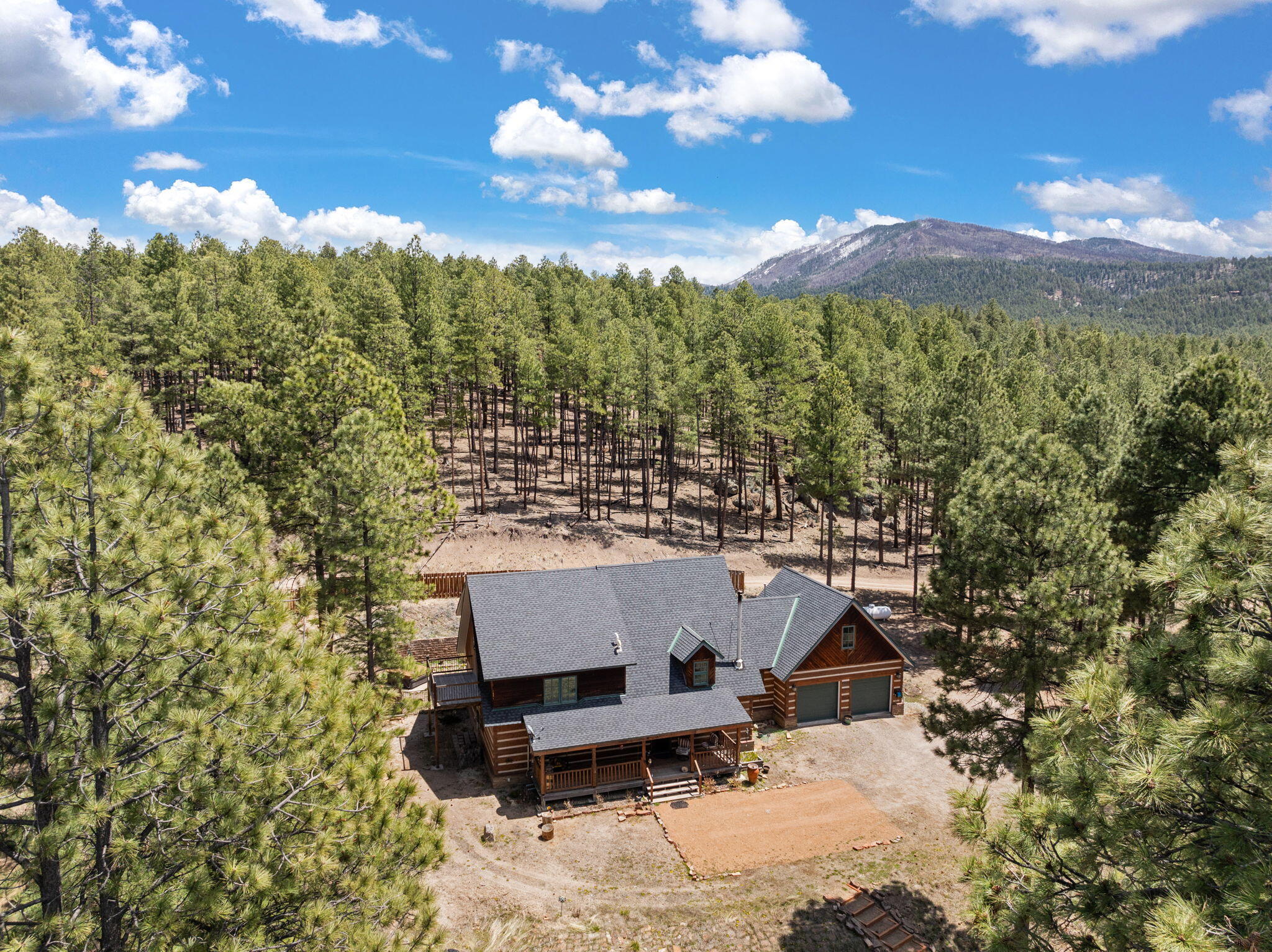 5 Blue Spruce Trail Albuquerque Home Listings - Sandi Pressley Real Estate